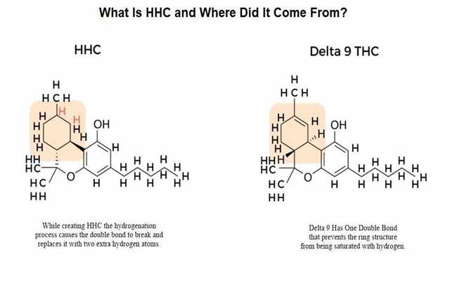 What is Hhcp Cannabinoid? Best Ans About What is Hhc-p Cannabinoid?