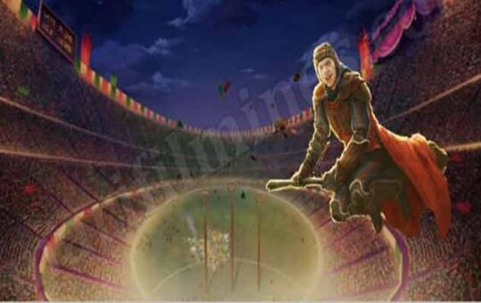 Which Quidditch Team Does Ron Support? What Quidditch Team Does Ron Support? Quidditch Team Ron Support