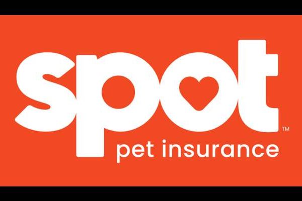 Spot Pet Insurance Login Methos 2023 Best Info