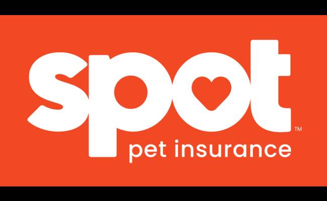 Spot Pet Insurance Login Method 2023 Best Info Snifor