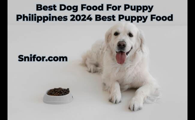 Best Dog Food For Puppy Philippines 2024 Best Puppy Food