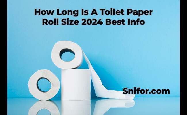 How Long Is A Toilet Paper Roll Size 2024 Best Info
