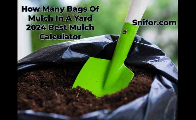 How Many Bags Of Mulch In A Yard 2024 Best Mulch Calculator