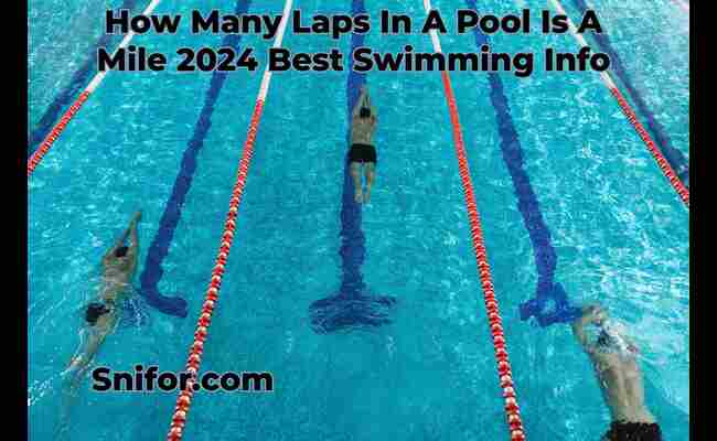 How Many Laps In A Pool Is A Mile 2024 Best Swimming Info