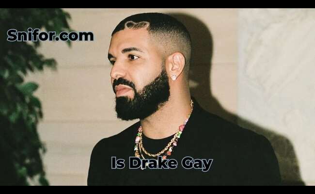 Is Drake Gay 2024 Best Drake Rapper Sexuality Info