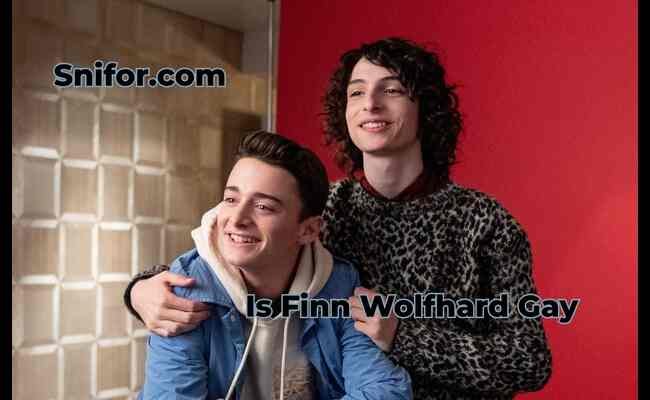 Is Finn Wolfhard Gay 2024 Best Finn Wolfhard Sexuality Info