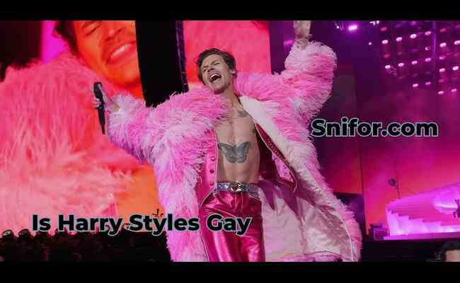 Is Harry Styles Gay 2024 Best Info On Harry Styles Sexuality