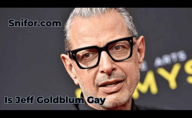 Is Jeff Goldblum Gay 2024 Best Jeff Goldblum Sexuality Info