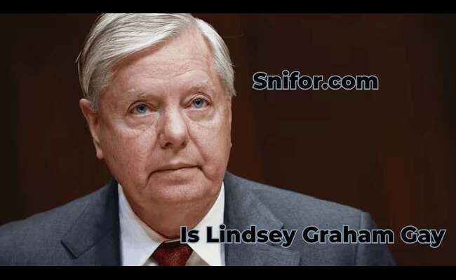 Is Lindsey Graham Gay 2024 Best Lindsey Graham Sexuality Info