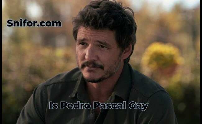 Is Pedro Pascal Gay 2024 Best Pedro Pascal Sexuality Info
