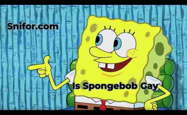 Is Spongebob Gay 2024 Best Spongebob Squarepants Gay Info