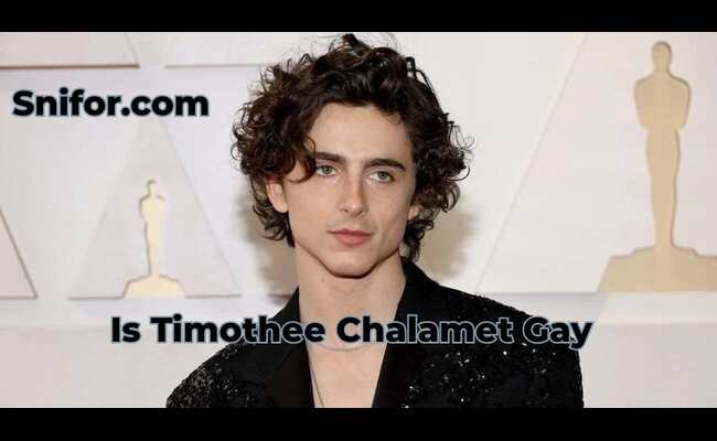 Is Timothee Chalamet Gay 2024 Best Timothée Chalamet Info