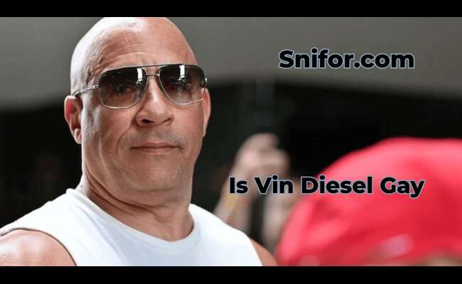 Is Vin Diesel Gay 2024 Best Vin Diesel Sexuality Info