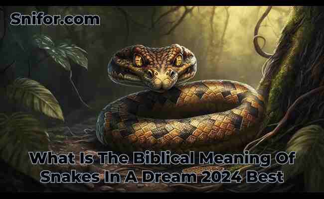 What Is The Biblical Meaning Of Snakes In A Dream 2024 Best
